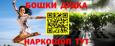 Альфа ПВП Будённовск